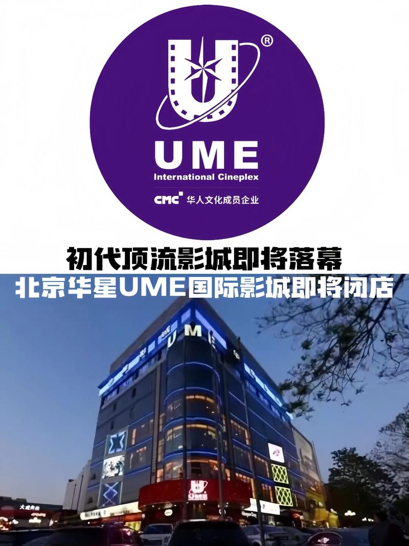 午夜影院先看看：最新热门电影推荐与深夜观影指南（午夜影院、先看看、深夜电影推荐）