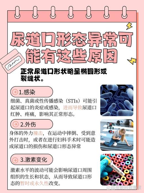 久久午夜激情片的相关介绍