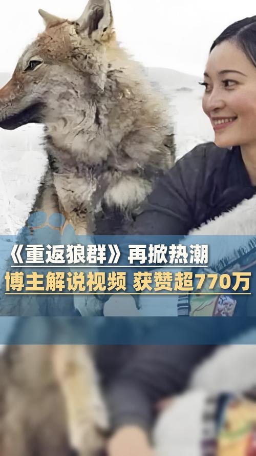 无敌神马影院视频在线观看高清，最新热播电影免费追剧神器