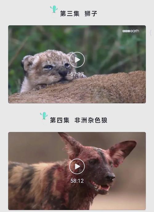 根据4488青苹果电影院生成的SEO标题如下：

**4488青苹果电影院 - 最新高清热播电影在线观看 | 免费影院 | 无广告追剧平台**

（包含长尾关键词：最新高清热播电影在线观看、免费影院、无广告追剧平台）