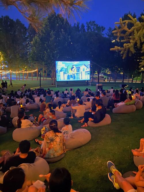 丁香成人影院的相关介绍