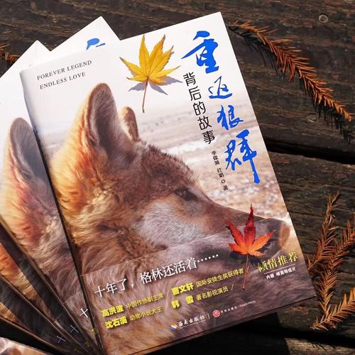 神马影院手机在线观 - 2025最新高清影视资源免费追剧神器，无广告畅享极速播放体验