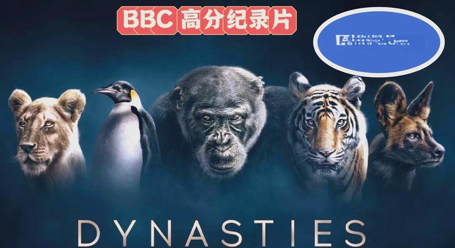 懒人影院在线免费追剧神器，海量高清资源一键观看不卡顿