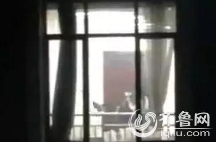 av日韩美女久久久久久久久久久的相关介绍