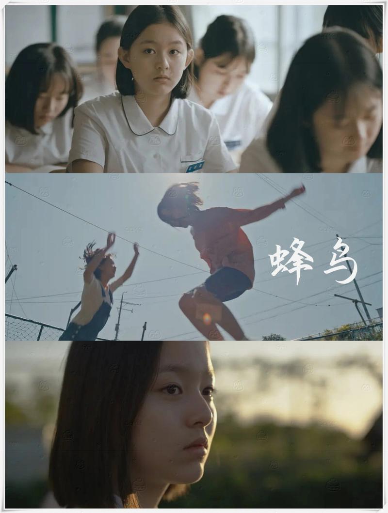 国产欧美色,一区二区三区的相关介绍