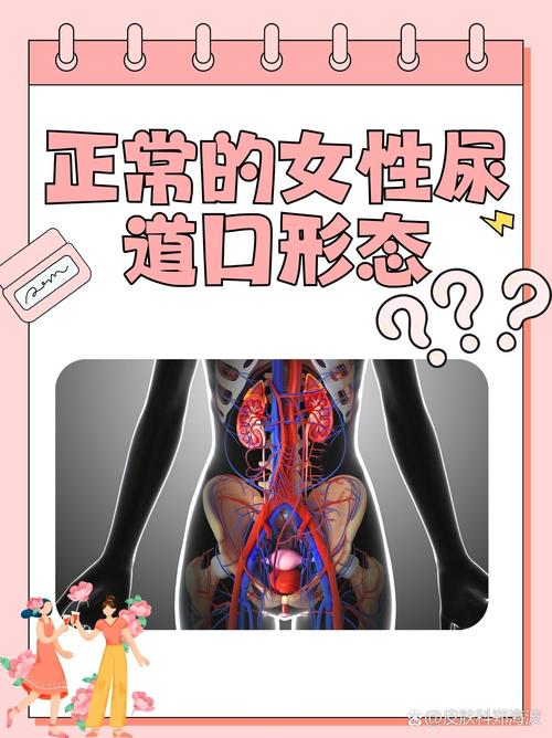 我要女人的全黄录像的相关介绍